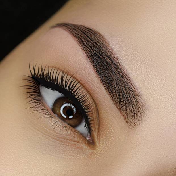 Eyes Brows 4 Eyes and Brows