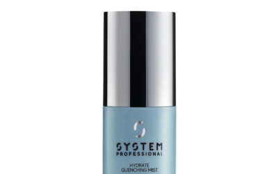 Systems Professional Hydrate Quenching Mist