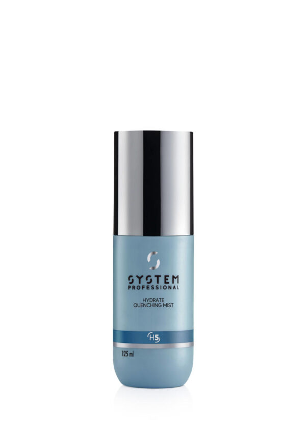 Systems Professional Hydrate Quenching Mist
