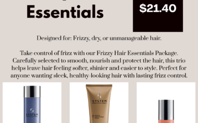 Frizzy Hair Essentials Bundle