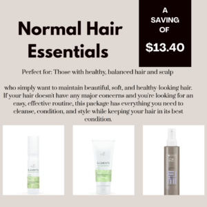 Normal Hair Essentials Bundle