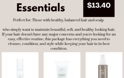 Normal Hair Essentials Bundle